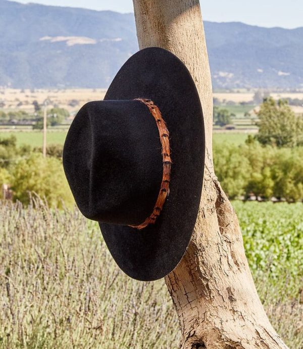 Feather Band Velour Hat - Image 3